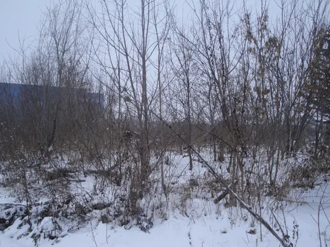 Деревянный жилой дом конца XIX века с глухой и пропильной резьбой карнизов, наличников и воротами с оригинальным декором "солнышко"