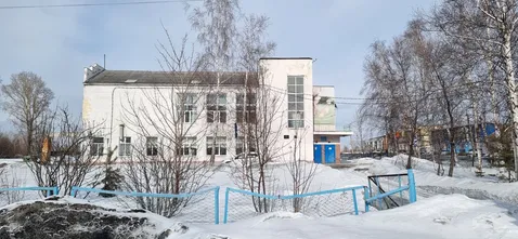 Школа ФЗД (фабрично-заводская девятилетка)
